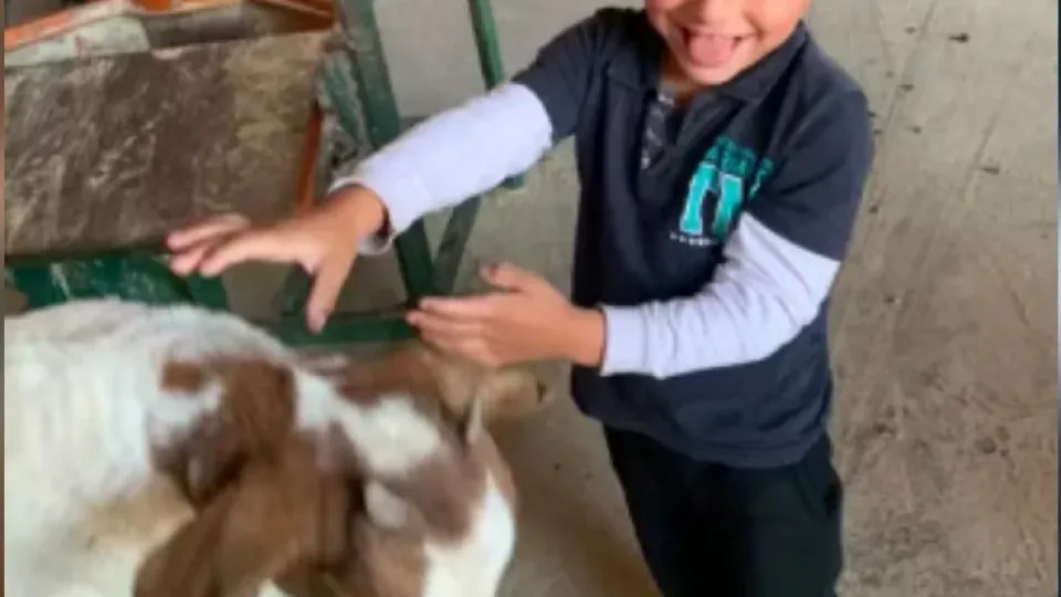 Menino autista de 5 anos desaparecido é achado morto em biodigestor